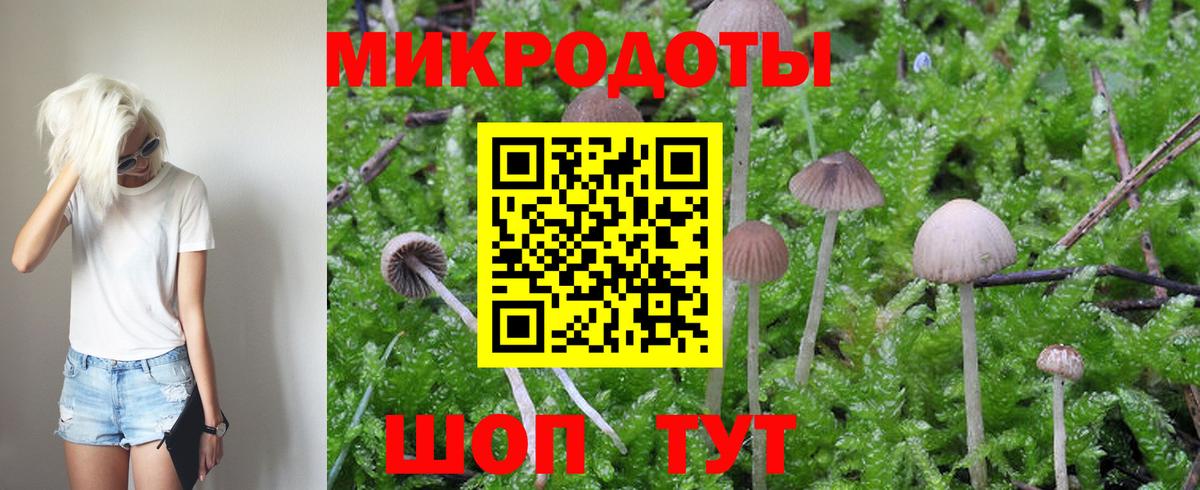 Галлюциногенные грибы прущие грибы Воткинск